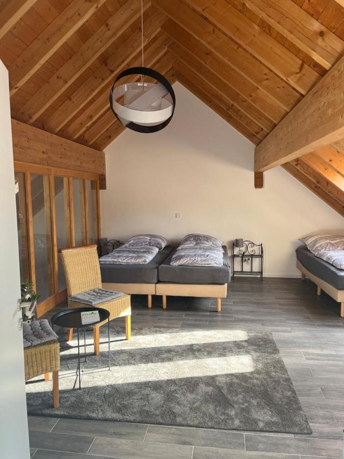 Ferienwohnung Am Wald-Und Wiesenkorb Kell am See Exteriör bild